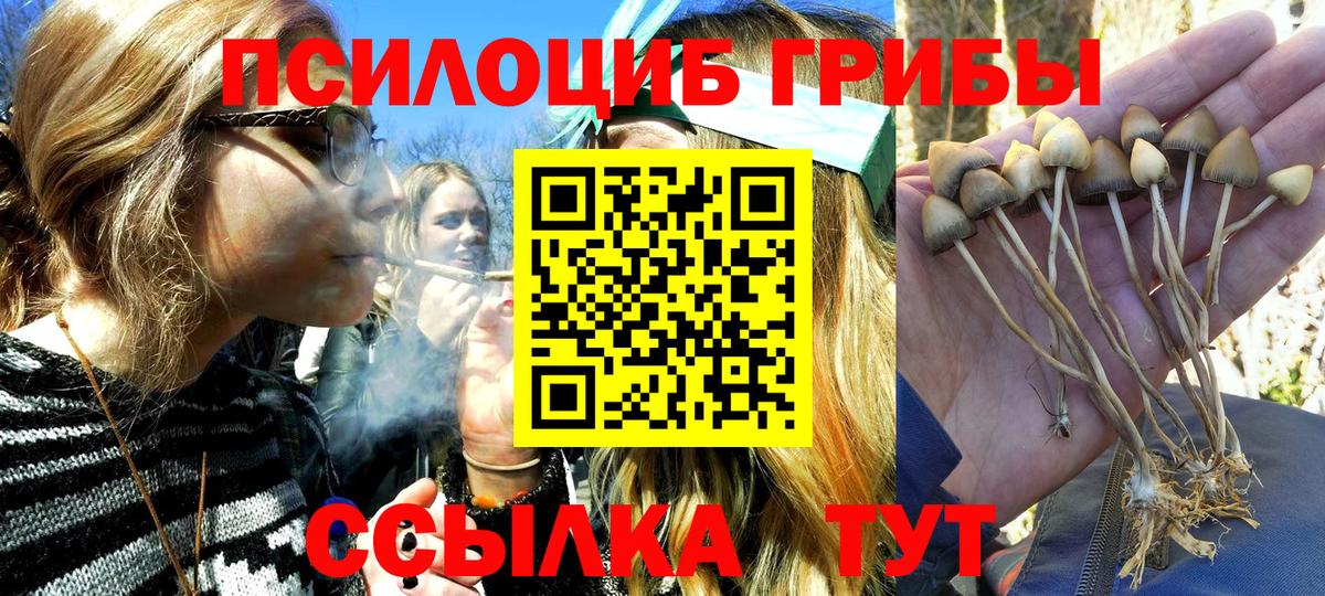 Соль-Илецк  Псилоцибиновые грибы мухоморы  Вход с VPN  Галлюциногенные грибы Psilocybe 